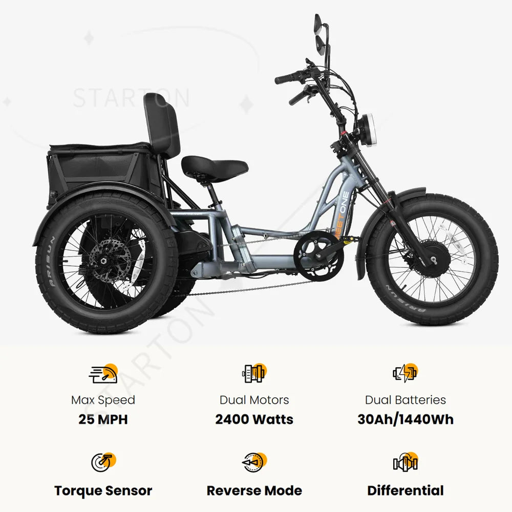 High Power Long Range Dual Motor Dual Battery 3 Wheel E Cargo Trike Adults Sand and Snow Fat Tire Electric Delivery Tricycle
