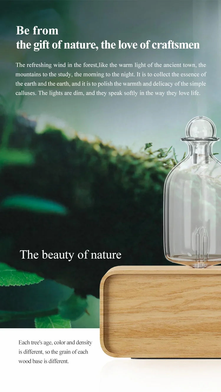 Rechargeable Essential Oil Diffuser Waterless Nebulizing Diffuser Electric Smell for Home Office Wood and Glass Aroma Diffuser