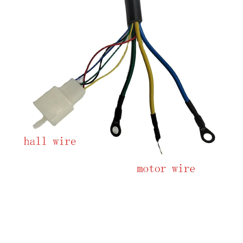 36V 48V 1000W Electric Brushless DC Motor MY1020 for E-Scooter Tricycle Electric Scooter