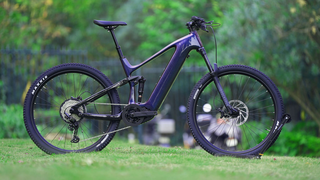 48V Carbon Frame Full Suspension 29 Inch Mid Drive Electric Mountain Bike Customizable Adult Off Road Trail Riding EMTB Bicycle