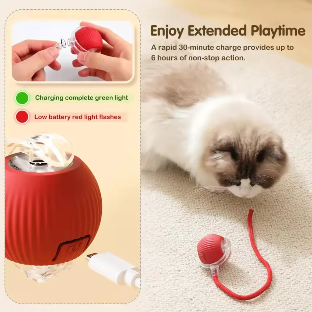 Hot cat toys are automatically teasing cat balls and self-exciting cat sticks and ticks and resistant to wear and bite pet toys