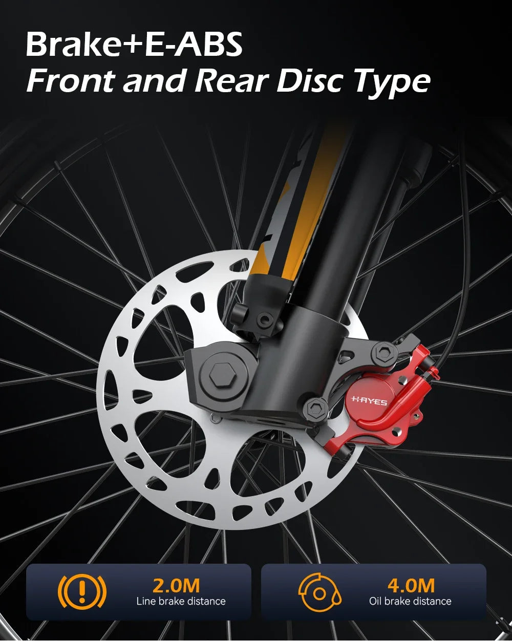 Readygo E6 Ultra Adult Off-Road Ebike 3000W Brushless Motor 60V 30AH Lithium Battery Electric Bicycle 85Km/h