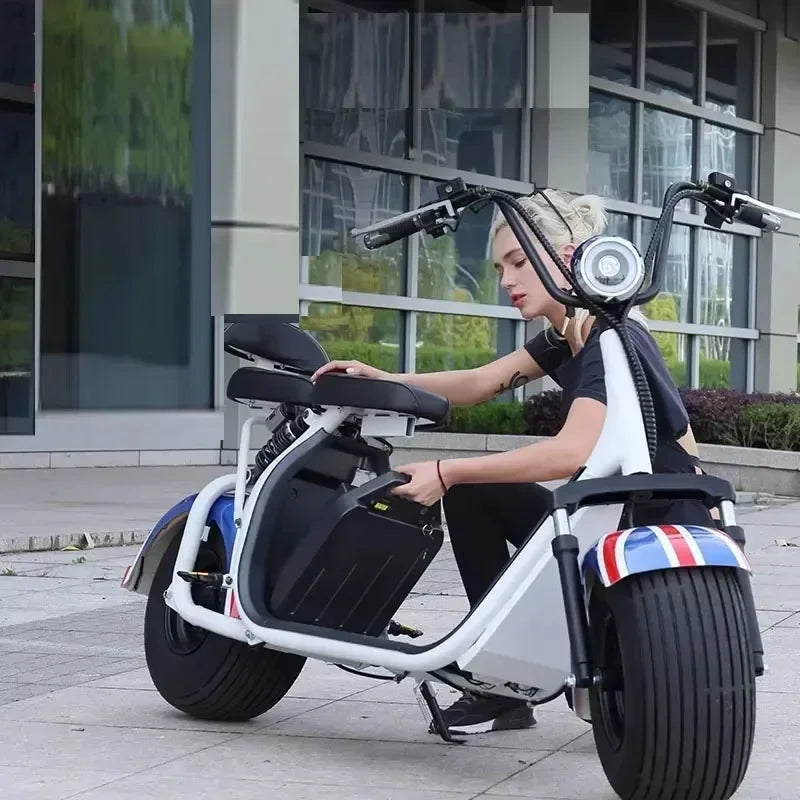 60V 40ah 20ah 30ah Electric Motorcycle Lithium Battery Pack 18650 Battery 300-1000W for Citycoco Scooter Bicycle