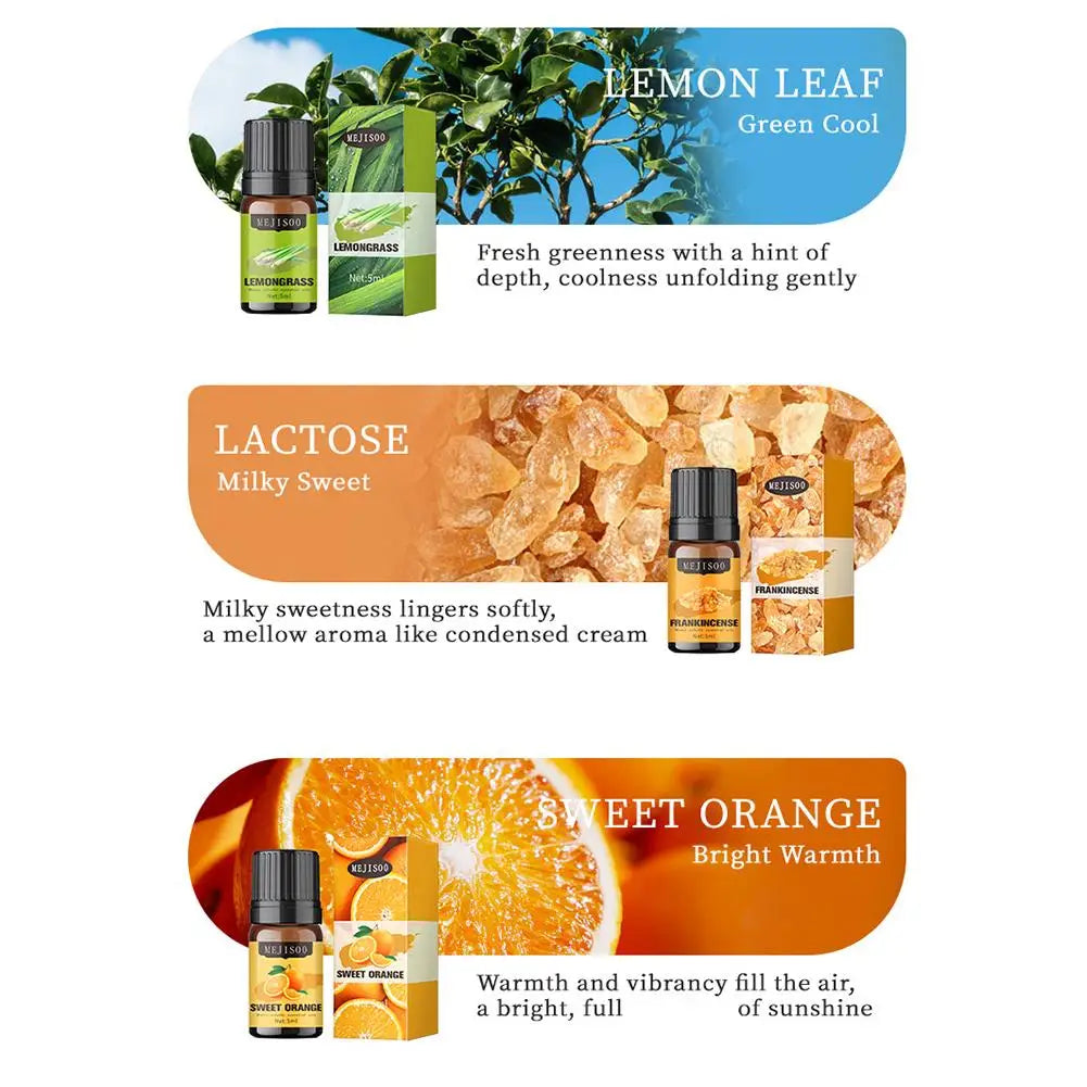 12 Flavors Essential Oils For Aroma Diffuser AirHumidifier Home Water-soluble Lavender Eucalyptus Lemon Bergamot 5ml