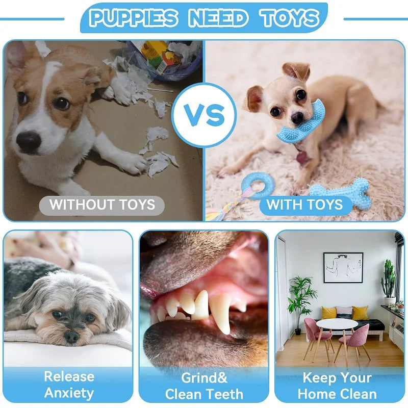 Pet Chew Toys Soft Blue Rubber Durable Molars Training Toy Chihuahua Yorkie Funny Ball Interactive Bone Treat Toys Pet Supplies